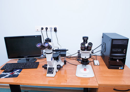 laboratorium-mikroskopii-swietlnej